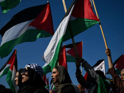 Pro-Palestinian demonstrators protest at Union Park as the Democratic National Convention takes place on August 21, 2024, in Chicago, Illinois.