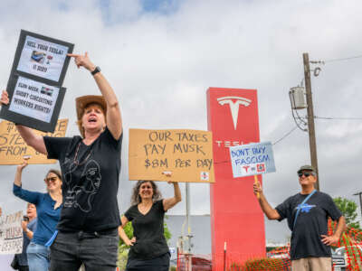 Protesters demonstrate against Tesla CEO Elon Musk’s "Department of Government Efficiency" (DOGE) initiatives during a nationwide “Tesla Takedown” rally at a dealership on March 29, 2025, in Austin, Texas.