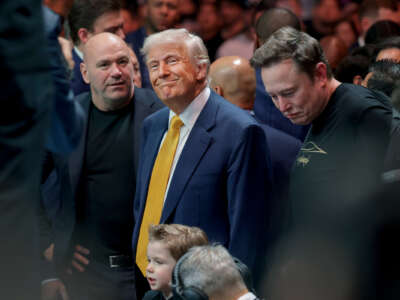 Donald Trump and Elon Musk at a fighting match