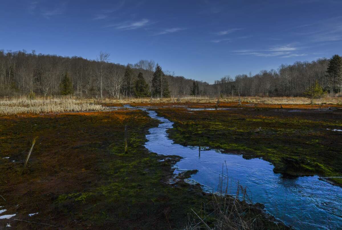 Wetlands contaminated with acid mine drainage at the Kempton abandoned mine complex in Kempton, Maryland, on December 19, 2017.