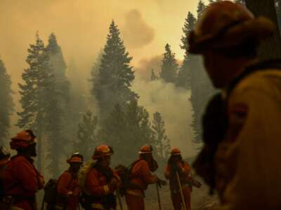 Incarcerated firefighters from the Antelope Conservation Camp wait for their next assignment as they work to contain the Dixie Fire among burning trees on August 18, 2021, in the Plumas National Forest near Janesville, California.