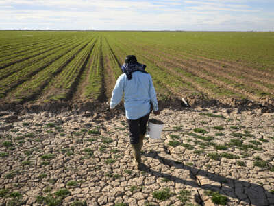 Farmhand Adrian Gonzalez works in a field of newly planted alfalfa in California’s Imperial Valley. The valley depends solely on the Colorado River for its surface water supply.