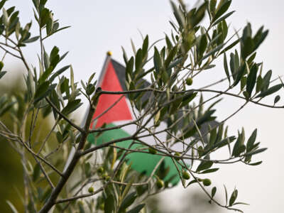 An olive tree stands at the Reporters' Memorial, symbolizing a tribute to all Palestinian journalists killed in Gaza by the Israeli military, on October 11, 2024.